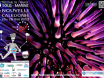 Affiche du festival de l'image sous-marine 2013